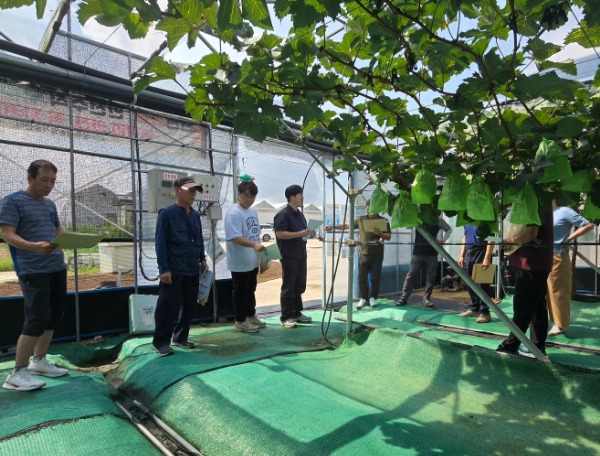 3.(���ֽ� ������ް�) �絵, �� ���ؾ��� �� ���� ��Ȯ ���, ������� ������ȭ(��������).jpg